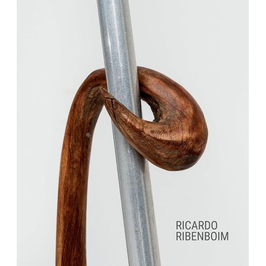 ricardo ribenboim