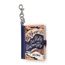 book charm - o morro dos ventos uivantes