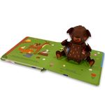amigos pop-up - hora de dormir, urso!