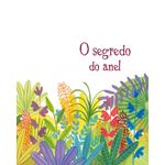 o segredo do anel e outros contos do bem-viver