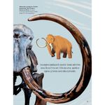 o livro dos dinossauros e da vida pré-histórica