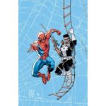 coleção homem-aranha: teia de heróis 04 - homem-aranha e justiceiro