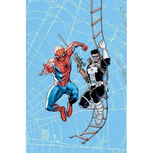 coleção homem-aranha: teia de heróis 04 - homem-aranha e justiceiro