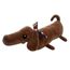 cachorro-salsicha-chocolate