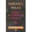 corte de espinhos e rosas - vol.6