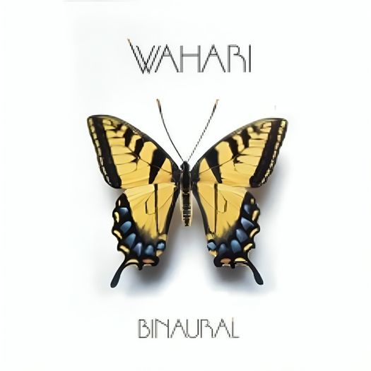 dvd wahari - binaural dvd wahari - binaural